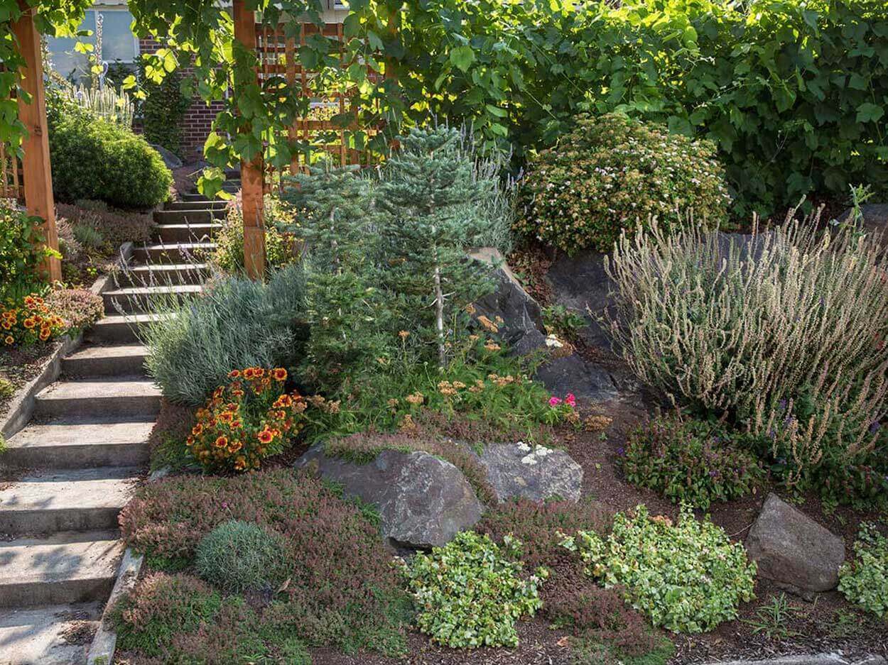Stone steps in a lush garden