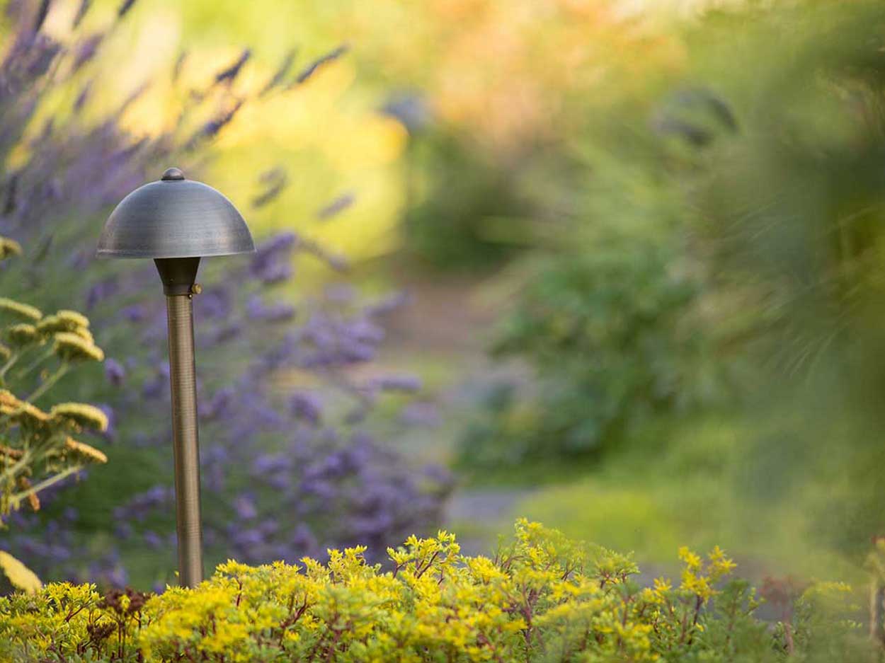 Garden path light among colorful wildflowers