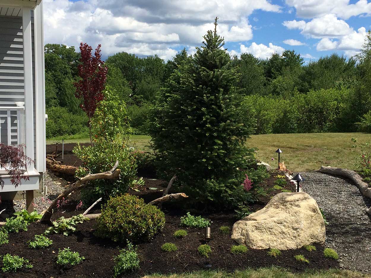 Backyard garden featuring large stone and plants
