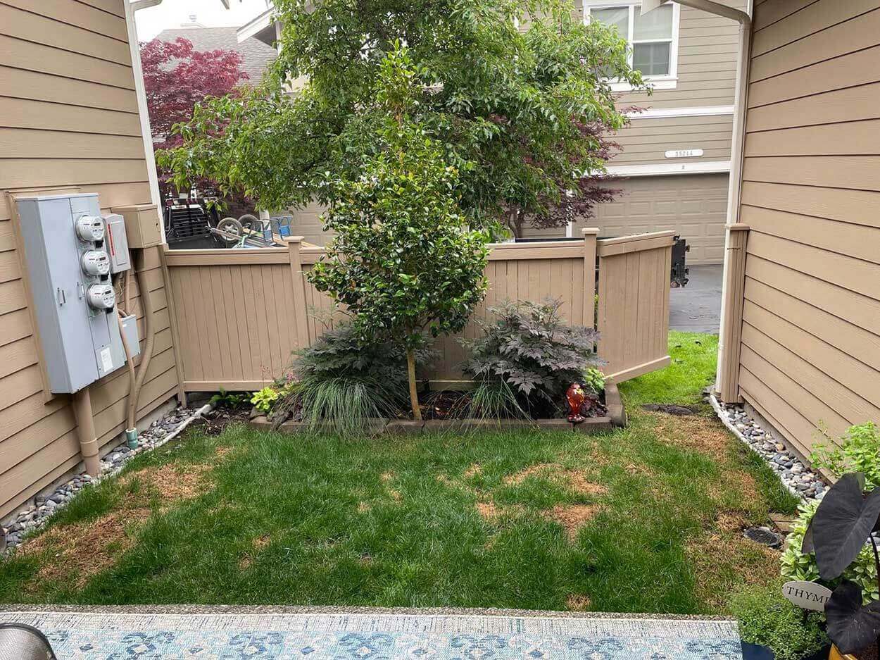 Fenced garden area with lush plants