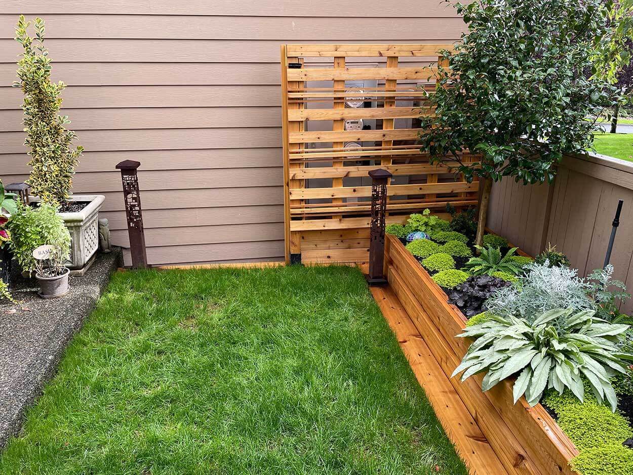 Small backyard with green plants and grass