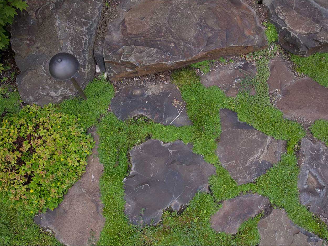 Rock walkway with lush moss