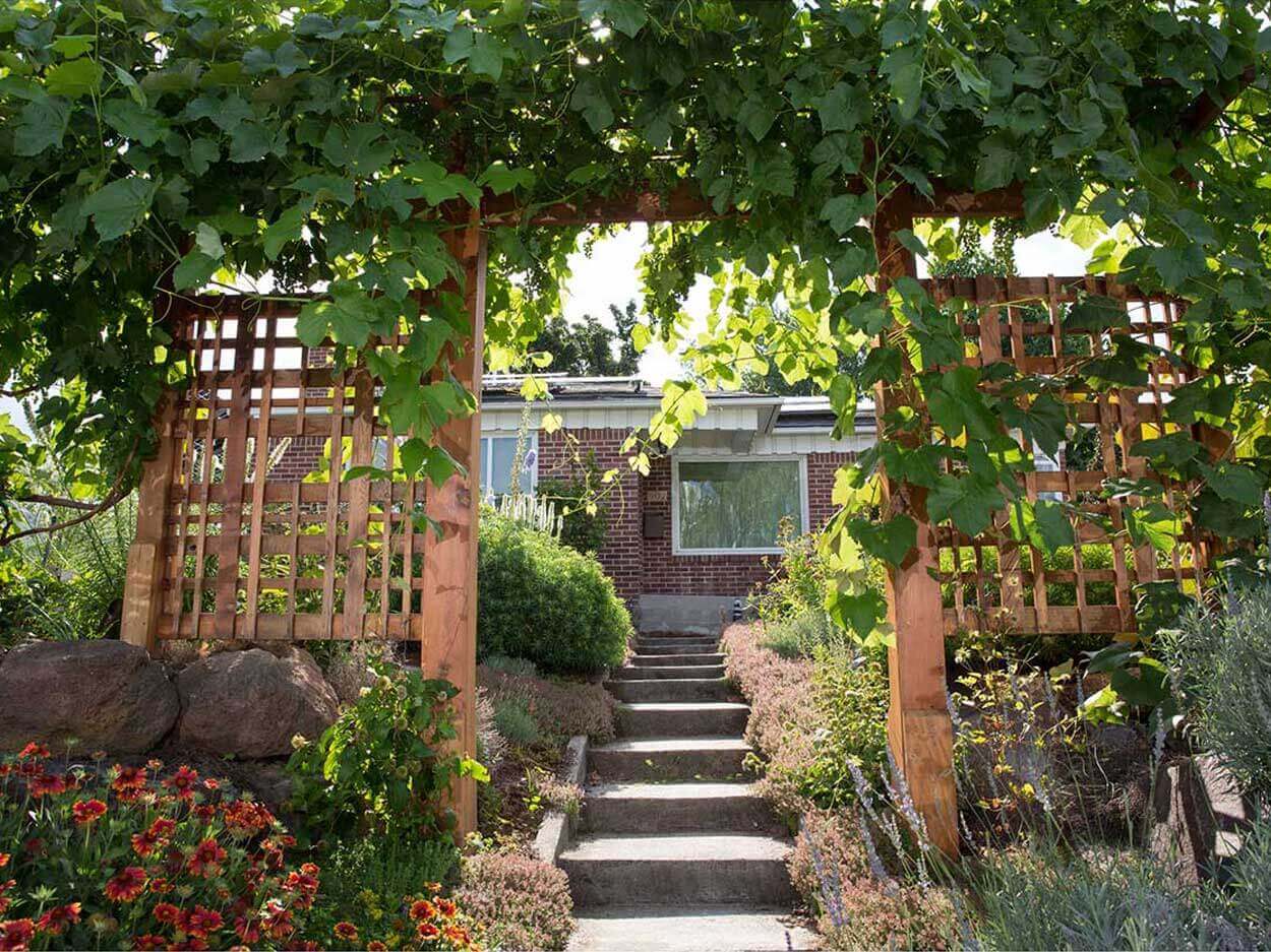 Stone steps leading to a house
