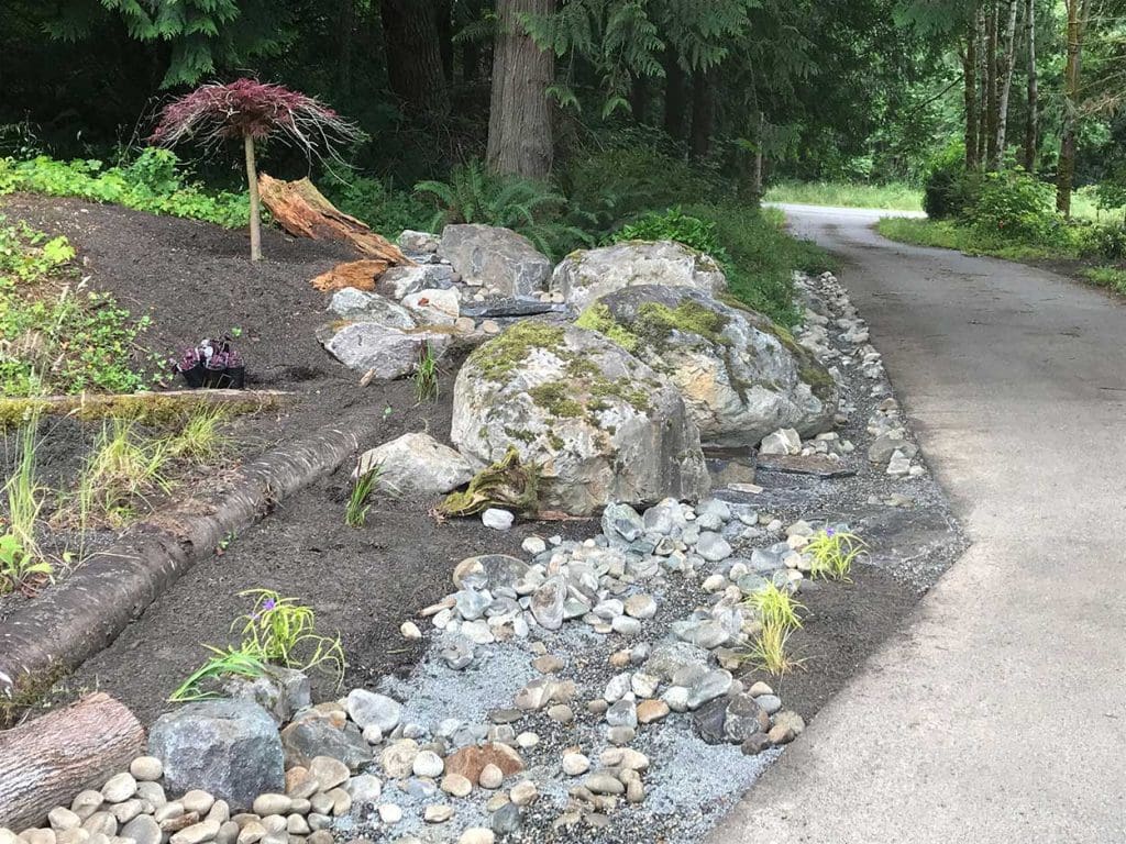 Rocky garden path with greenery