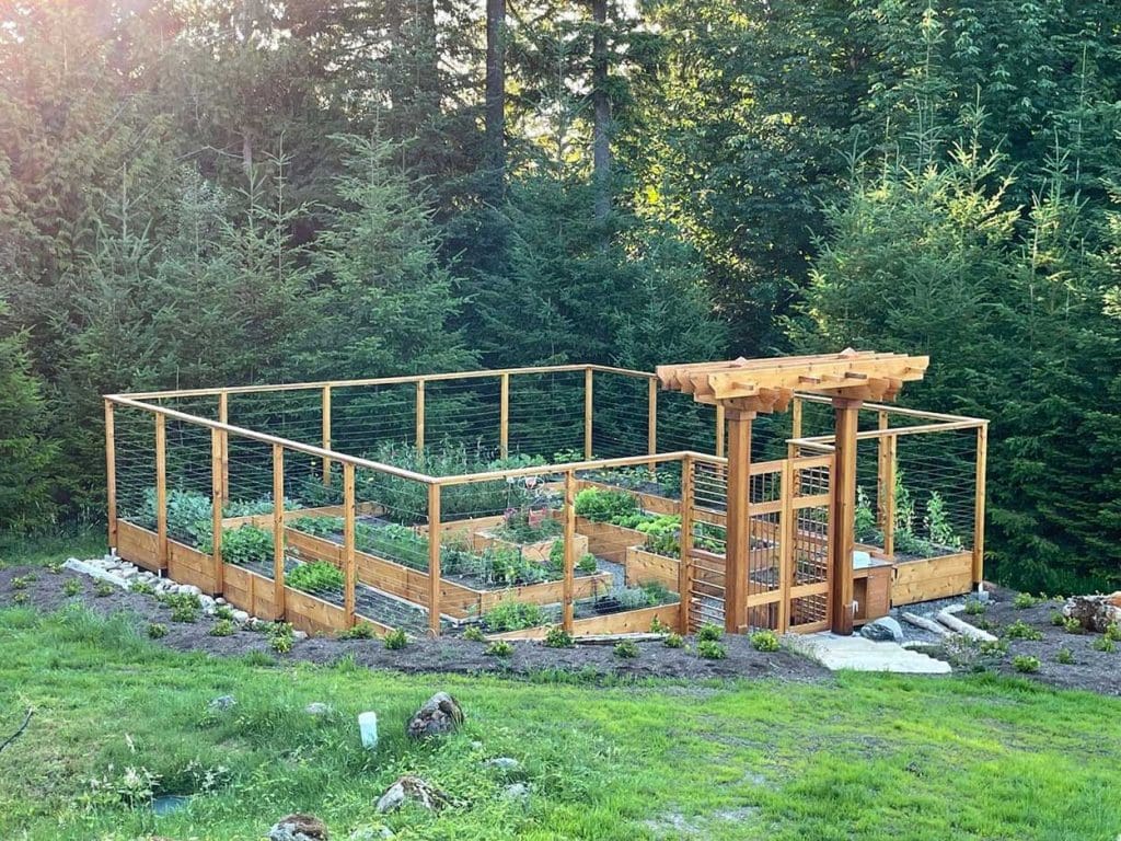 Wooden garden enclosure surrounded by trees