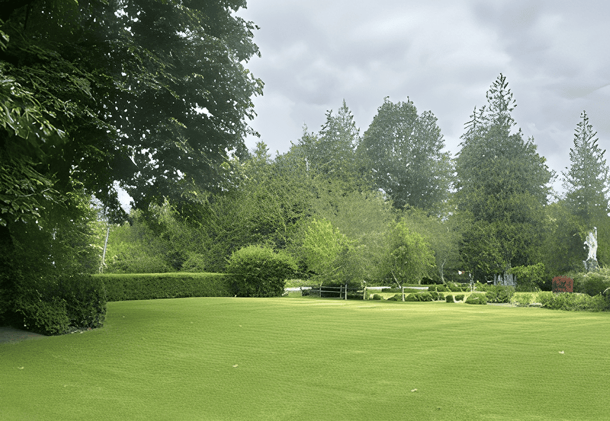 Peaceful garden scene with cloudy sky