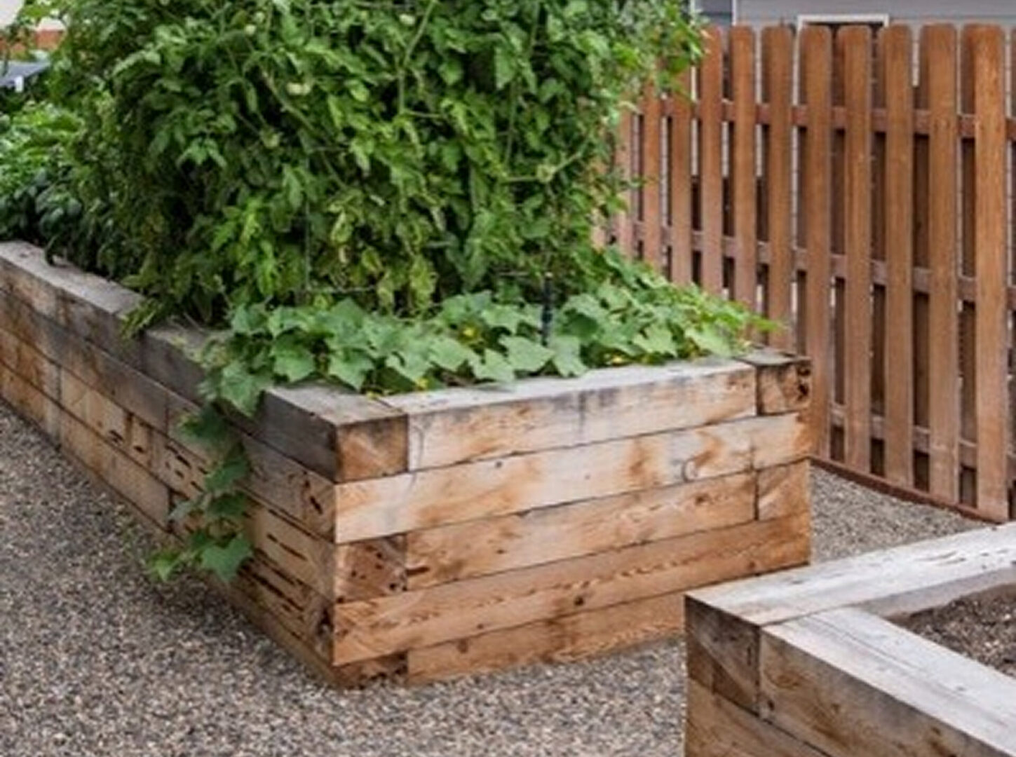 image 2 (6)
