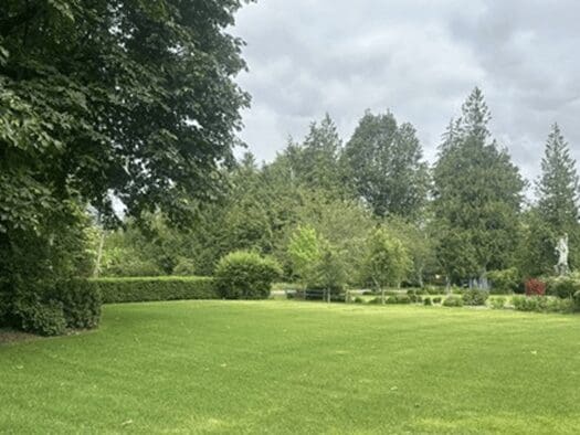 Peaceful garden under overcast weather