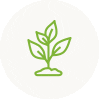 Green sprout illustration